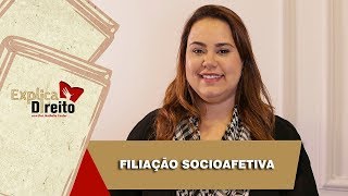 Explica Direito Filiação Socioafetiva  2019 [upl. by Anitnuahs]