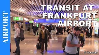 TRANSIT WALK AT FRANKFURT Airport FRA Terminal 1  Connection Flight Transfer Arriving amp Departing [upl. by Ythomit]